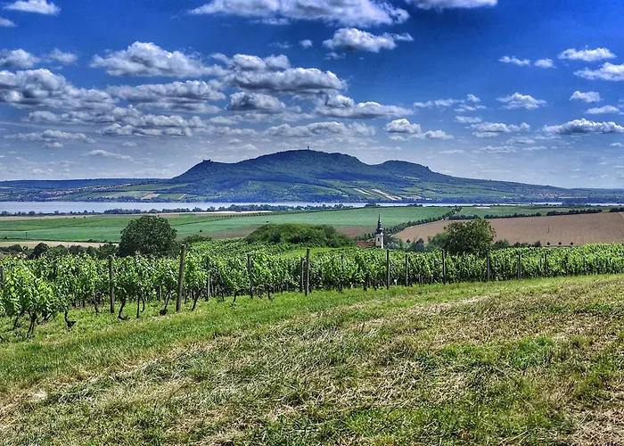 Vinny